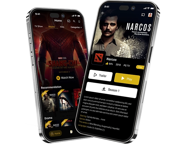 netflix clone script